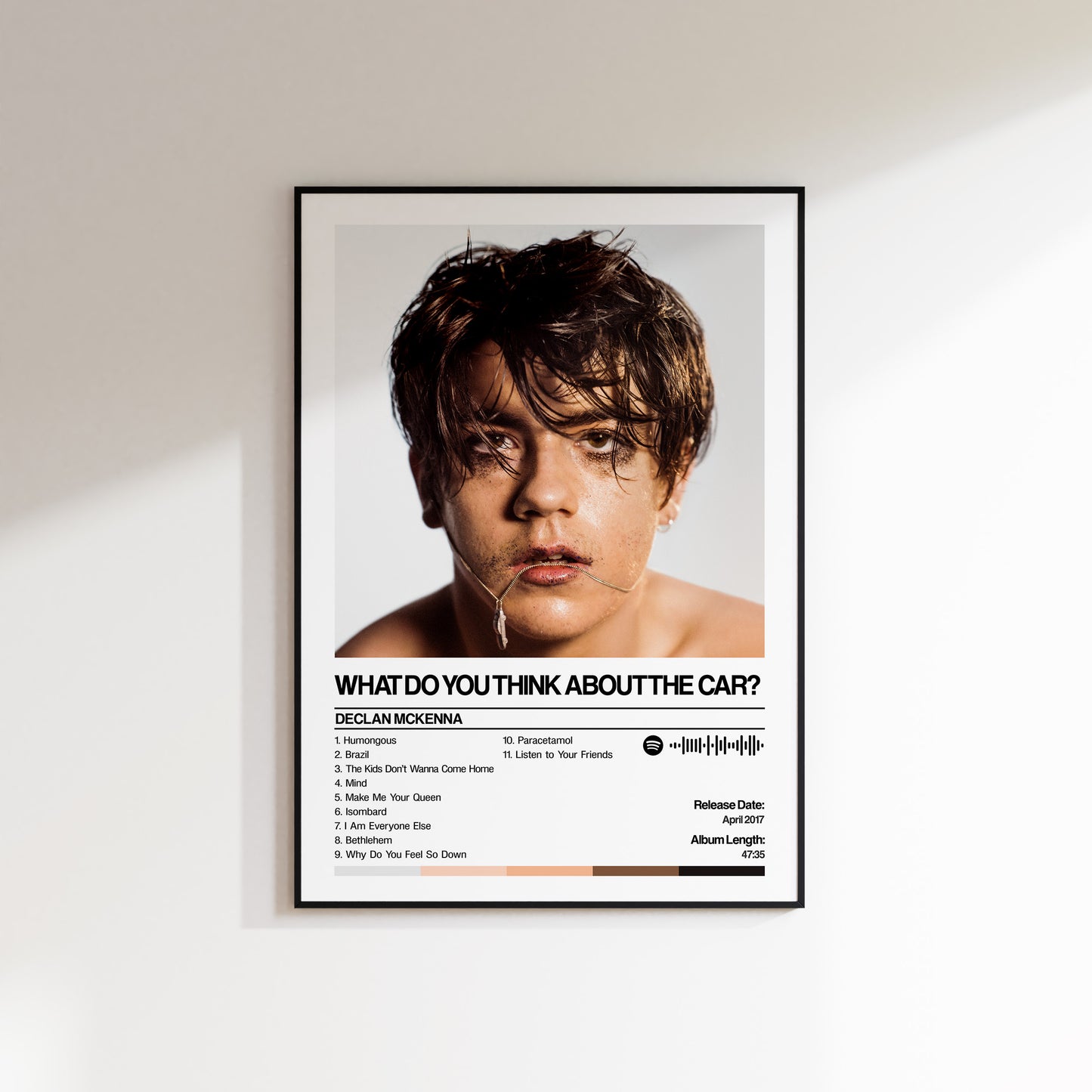 Declan Mckenna - What Do You Think About The Car