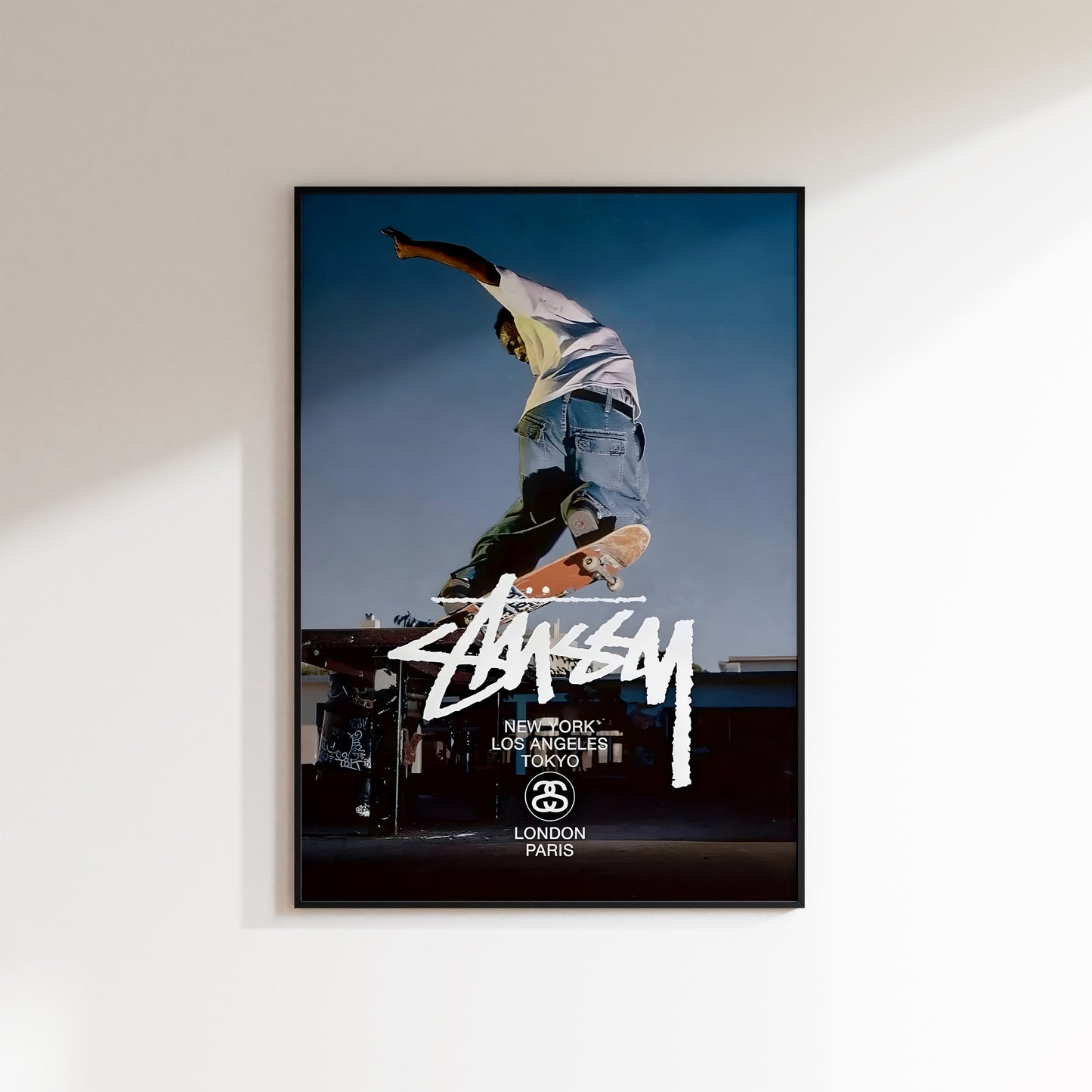 Stussy Skateboarder