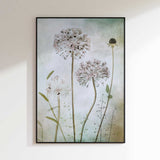 Allium