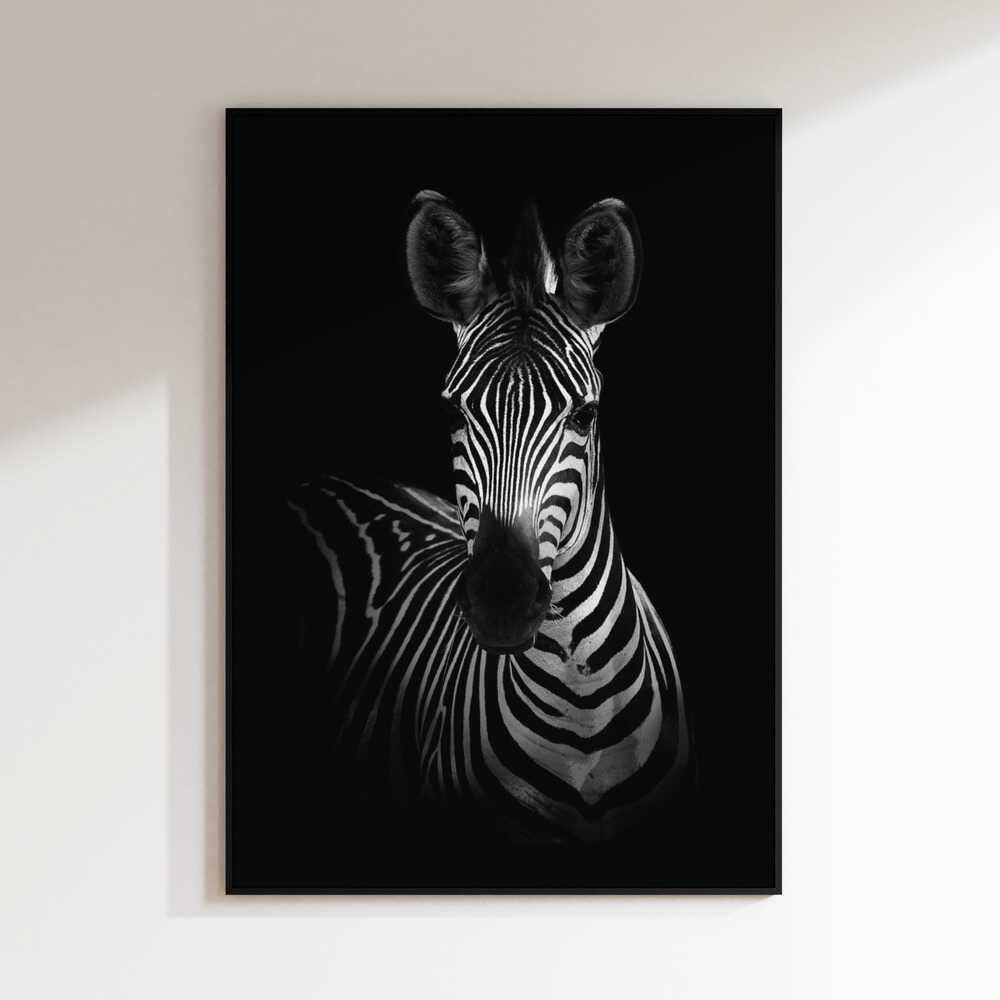 Striking Zebra Portrait