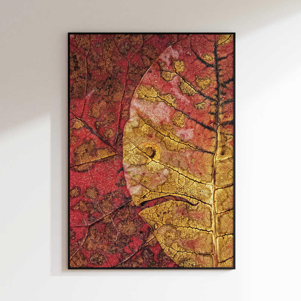 Vibrant Autumn Leaves