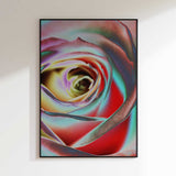 Colorful Rose Swirl