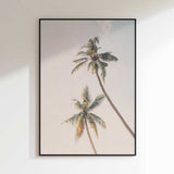 Tropical Palms