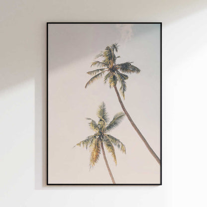 Tropical Palms