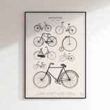 Vintage Bicycle Evolution