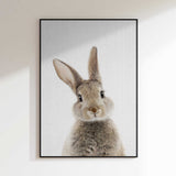 Peekaboo Bunny