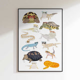 Whimsical Reptiles With Glasses