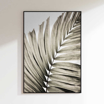 Palm Leaves 22