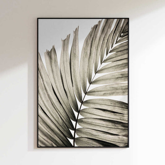 Palm Leaves 22