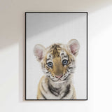 Innocent Tiger Cub