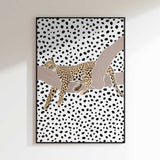 Resting Leopard Spots