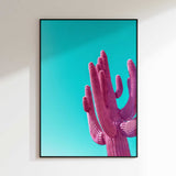 Magenta Pink Saguaro