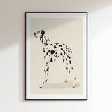 Pandc Dalmation