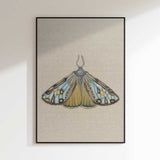 Colorful Bohemian Moth