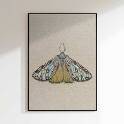 Colorful Bohemian Moth