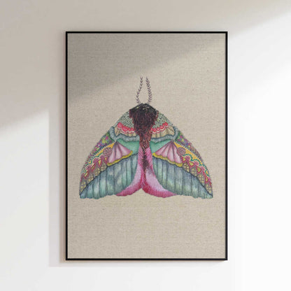 Colorful Ornate Moth