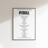 PITBULL setlist - 7 July 2026 at Marlay Park, Dublin