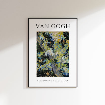 Blossoming Acacia - Van Gogh