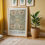 William Morris - The Smithsonian Institution 5