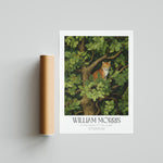 Diabild