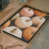 Assorted Fall Pumpkins