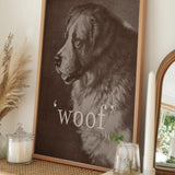 Noble Saint Bernard Woof