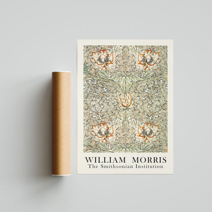 William Morris - The Smithsonian Institution 5