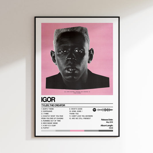Tyler the Creator - Igor