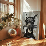 Diabild