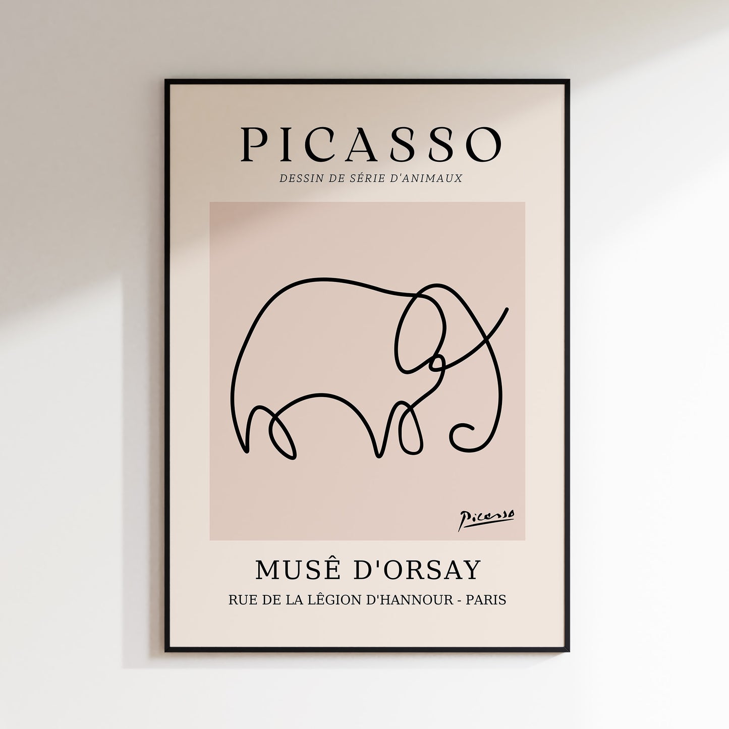 Picasso - Elephant Animal Drawing