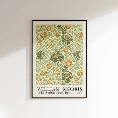 William Morris - The Smithsonian Institution 3