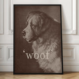 Noble Saint Bernard Woof