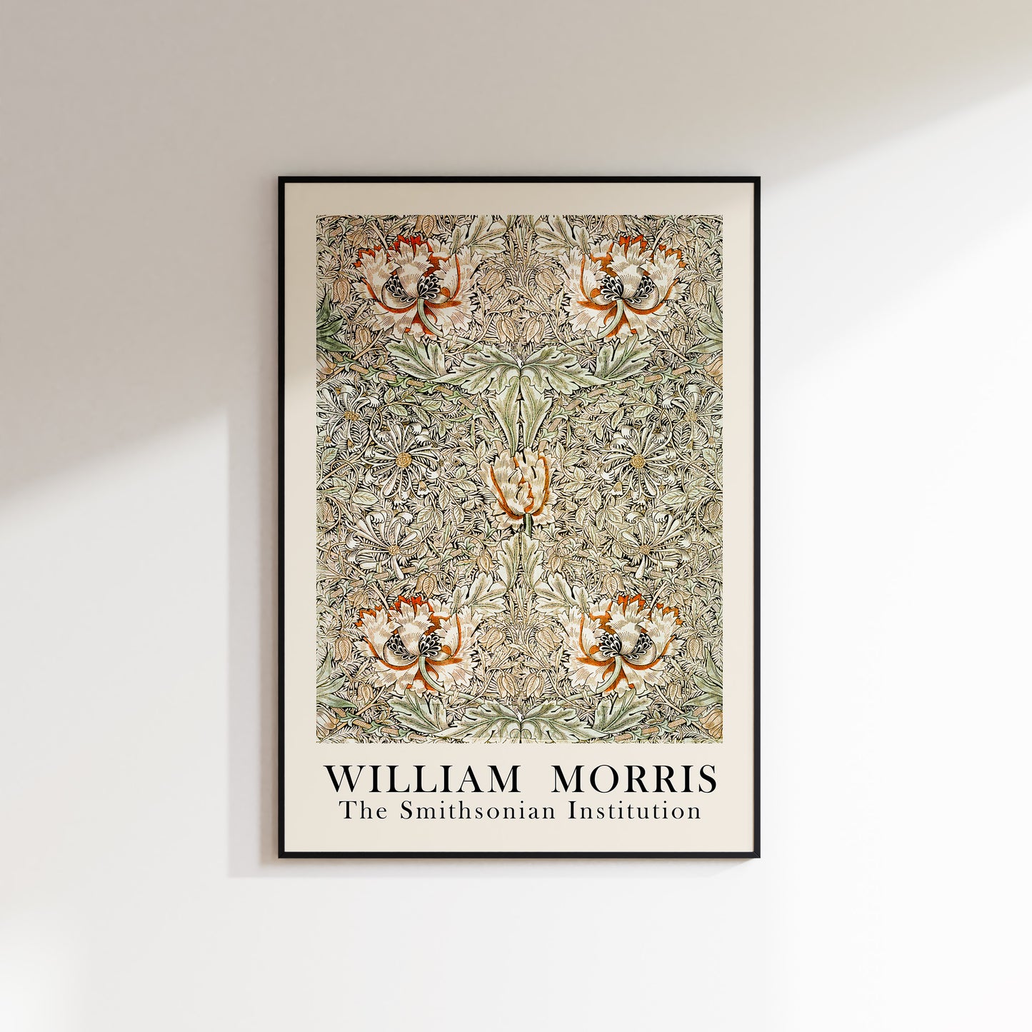 William Morris - The Smithsonian Institution 5