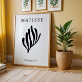 Henri Matisse - Black Coral