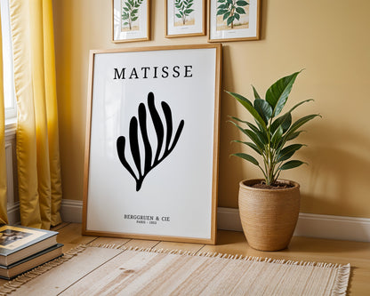 Henri Matisse - Black Coral