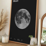 The Full Moon