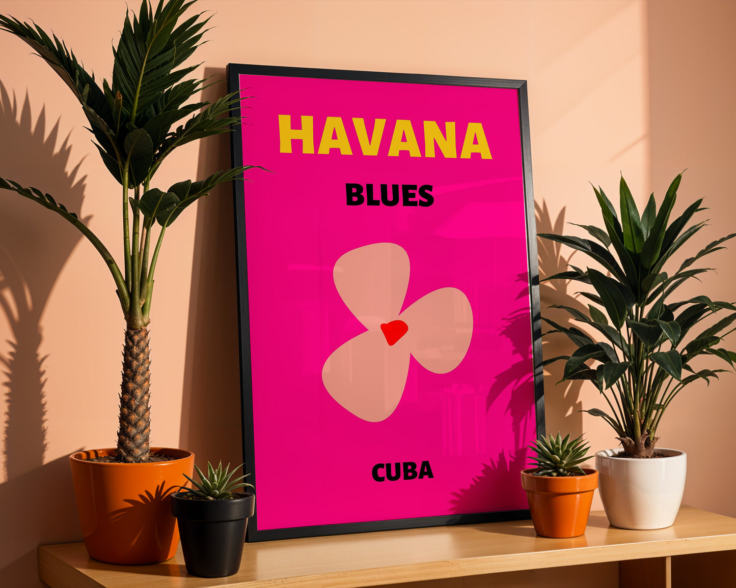 Havana -Cuba
