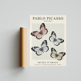 Picasso - Musee D'Orsay Butterflys