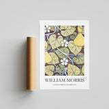William Morris – Baumwollausstellungssammlung 11