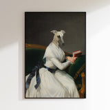 Elegant Whippet Reader
