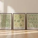 William Morris - The Smithsonian Institution Green Set of 3