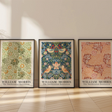 William Morris - The Smithsonian Institution Set of 3