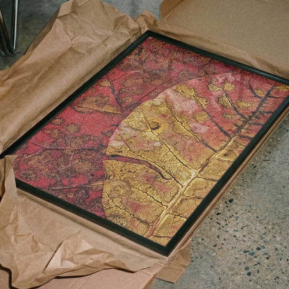 Vibrant Autumn Leaves