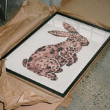 Rose Spotted Rabbit