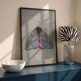 Colorful Ornate Moth