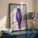 Elegant Violet Hummingbird