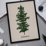 Oh Tannebaum (green)