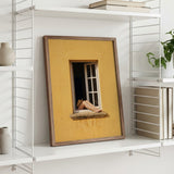 Relaxed Legs In Window