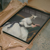 Elegant Whippet Reader