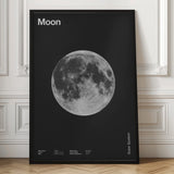 The Full Moon